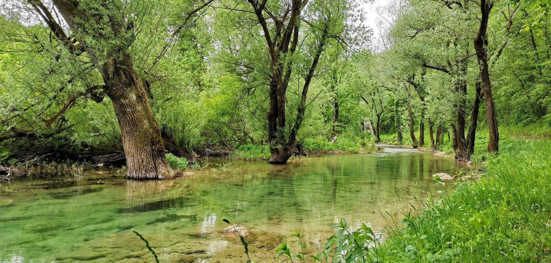 Апартаменты Plitvice Zg Смолянац Экстерьер фото